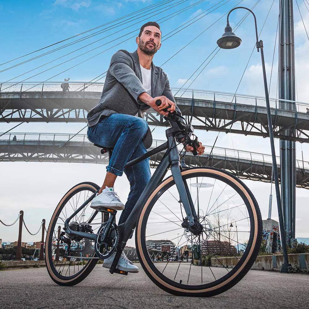 Fiido C21 E-Gravel & Stads-E-Bike