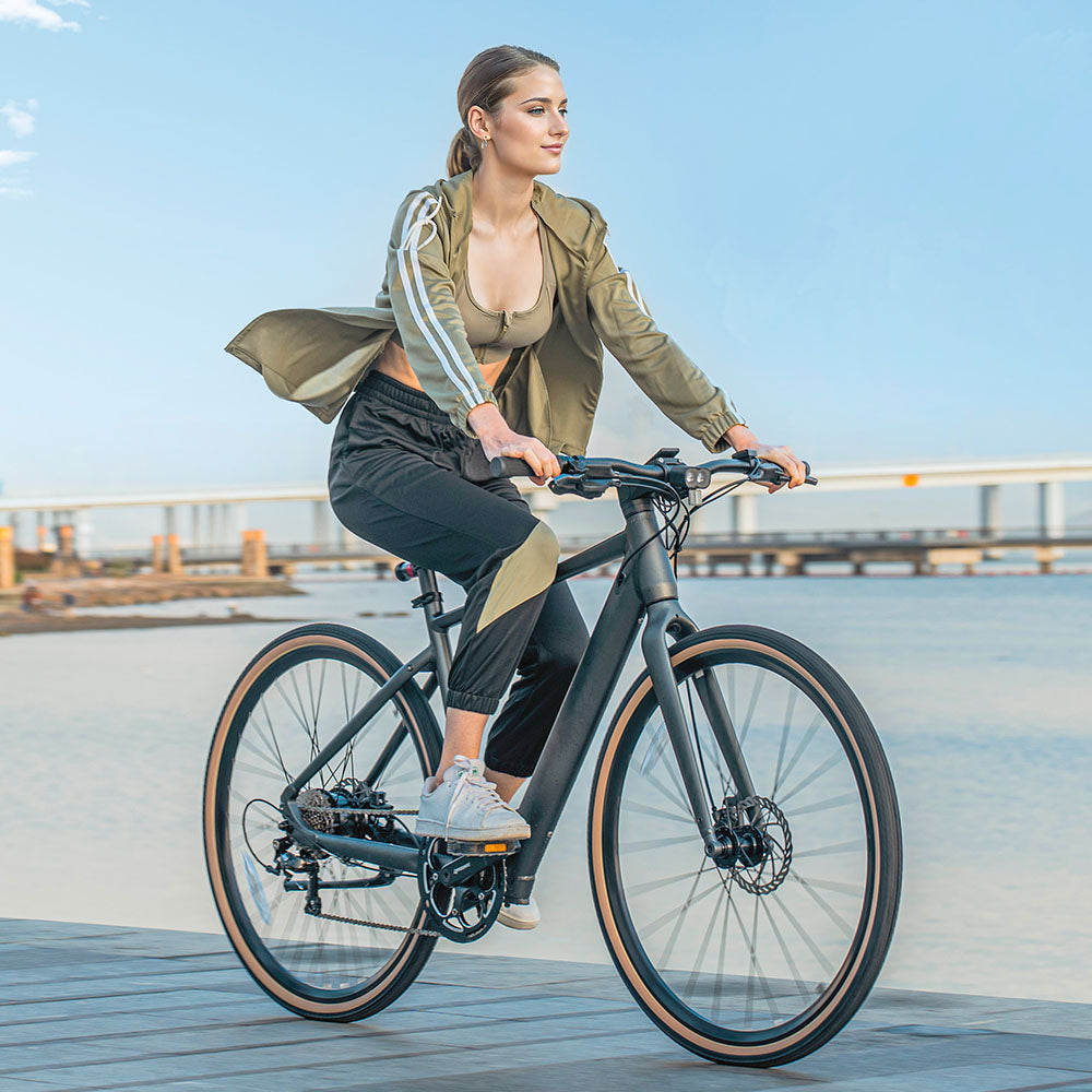 Fiido C21 E-Gravel & Stads-E-Bike
