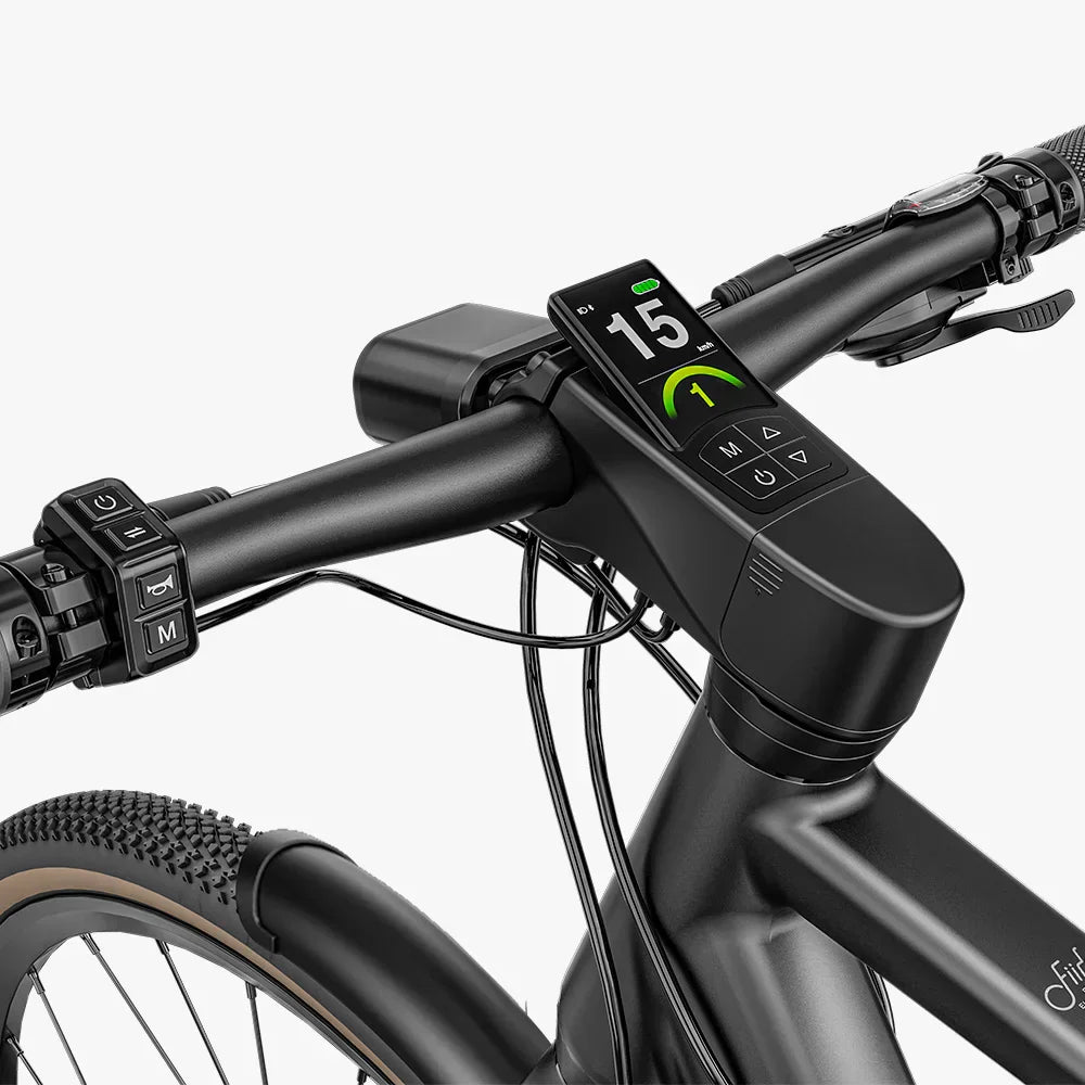 Fiido C21 E-Gravel & Stads-E-Bike