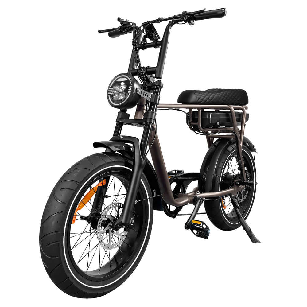 EB2 PRO fatbike | Krachtsensor | Koffie bruin