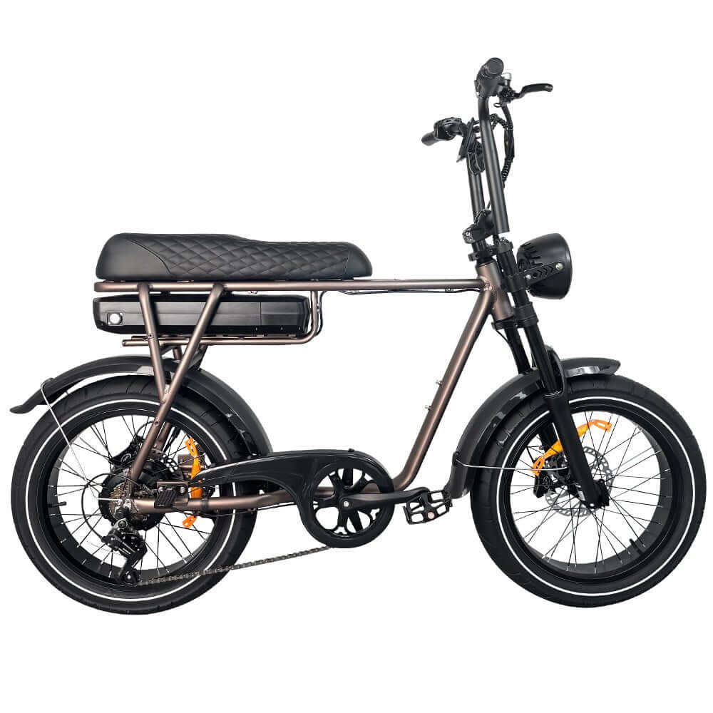 EB2 PRO fatbike | Krachtsensor | Koffie bruin