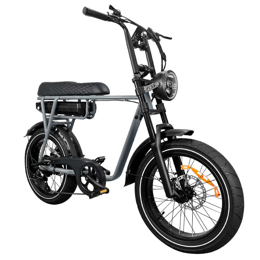 EB2 PRO fatbike | Krachtsensor | Nardo Grey