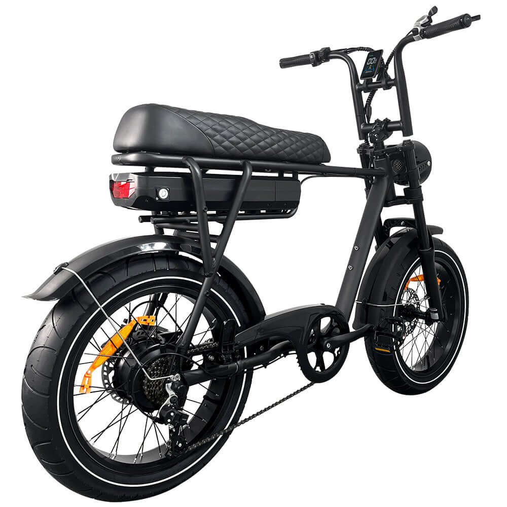 EB2 PRO fatbike | krachtsensor | model zwart