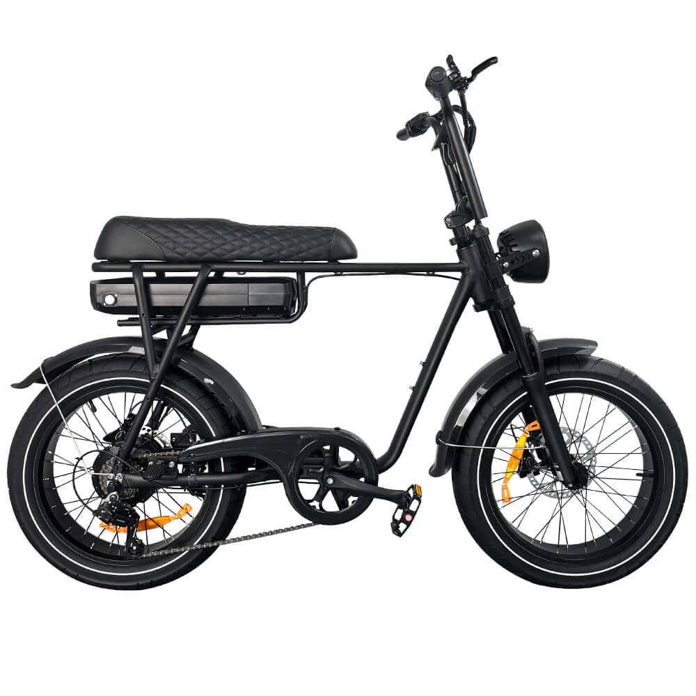 EB2 PRO fatbike | krachtsensor | model zwart