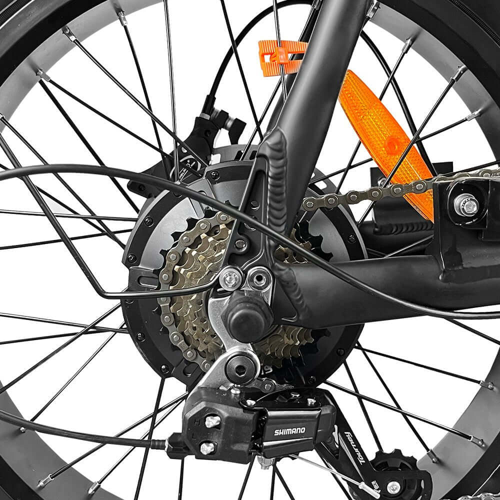 EB2 PRO fatbike | krachtsensor | model zwart