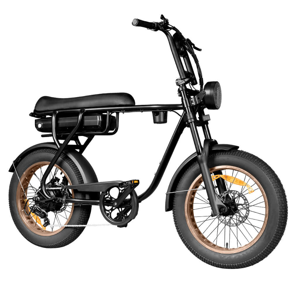 EB20 Fatbike | Zwart