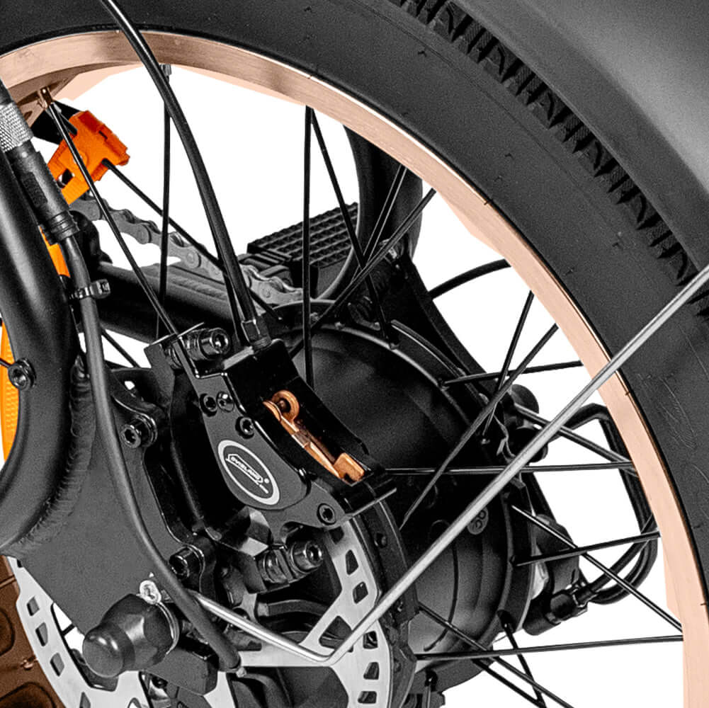 EB20 Fatbike | Zwart