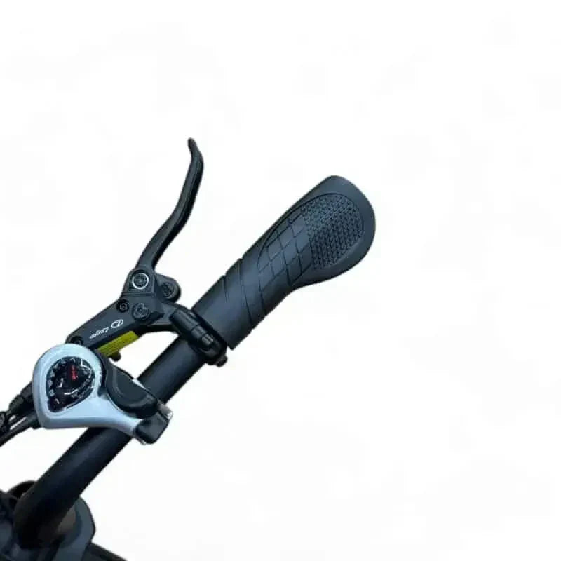 V20 Max - 24 Inch Wielen - Zwart