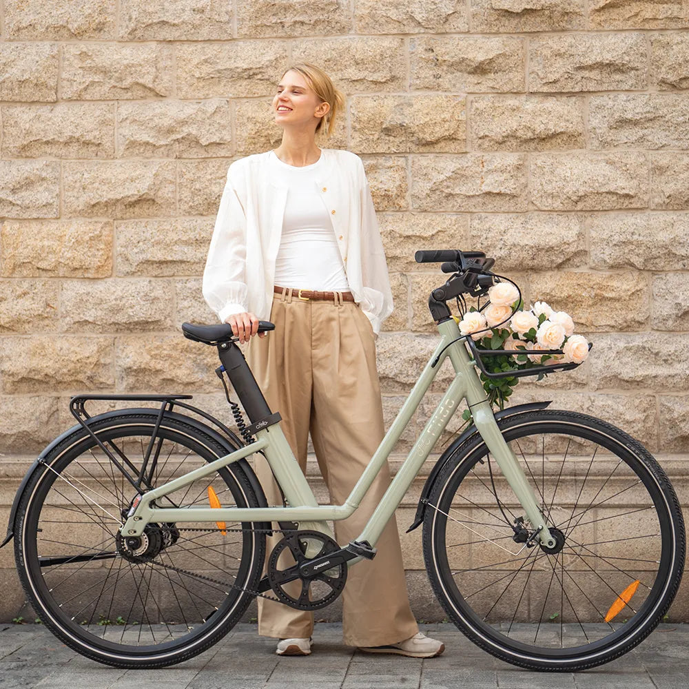 Fiido C700 Stads E-Bike