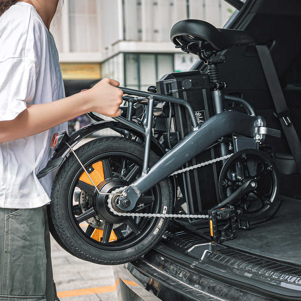 Fiido L3 Lange Bereik Mini Elektrische Vouwfiets