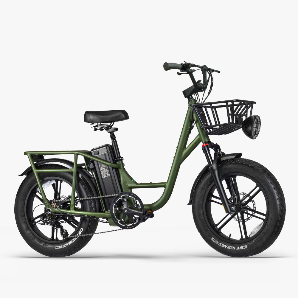 Fiido T1 Pro Fatbike Elektrische Bakfiets
