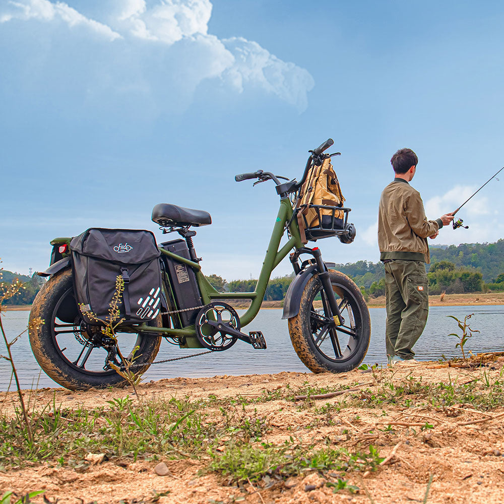 Fiido T1 Pro Fatbike Elektrische Bakfiets