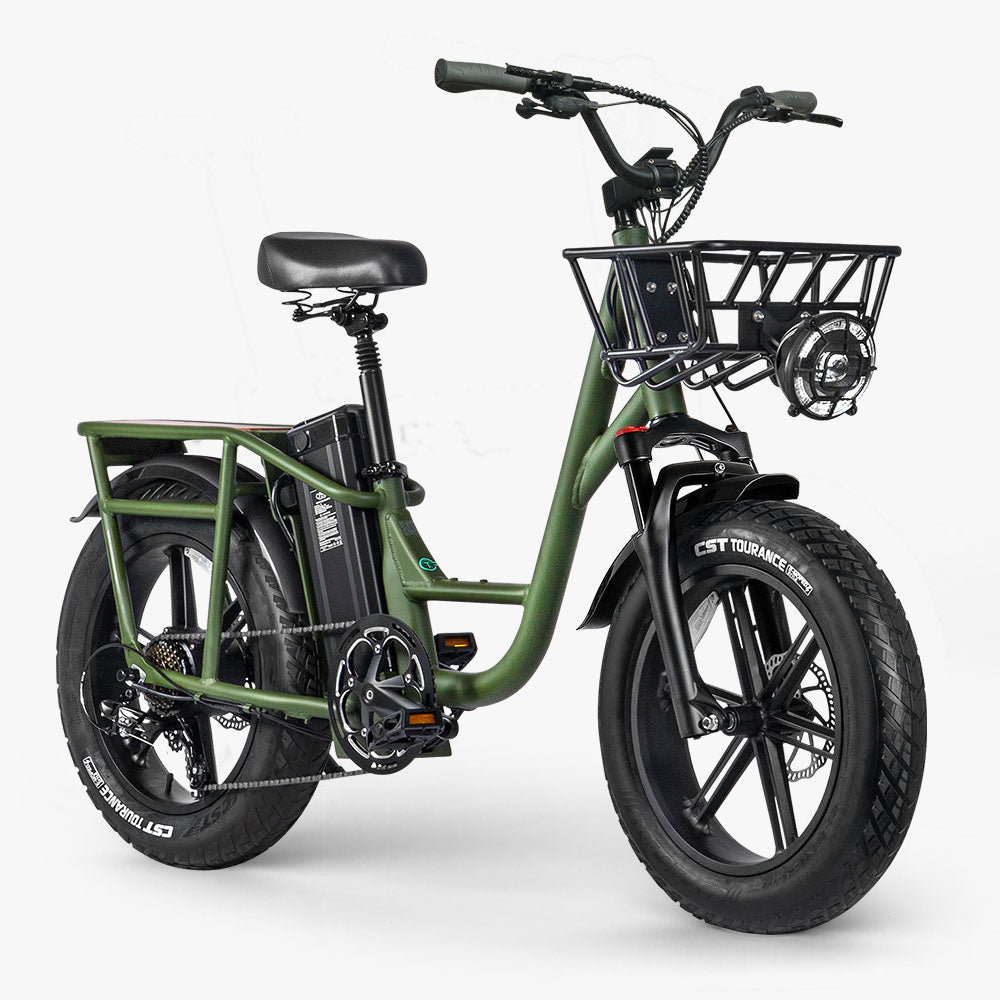 Fiido T1 Pro Fatbike Elektrische Bakfiets