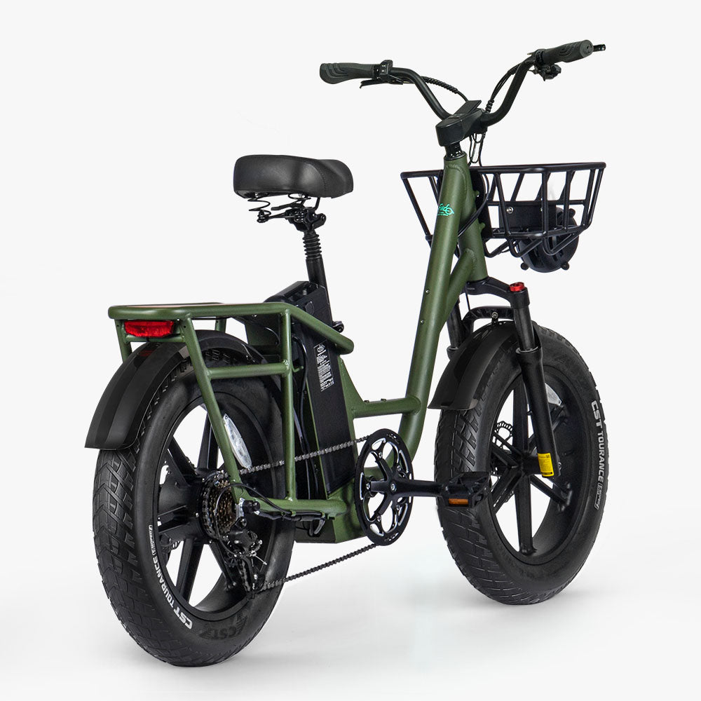 Fiido T1 Pro Fatbike Elektrische Bakfiets