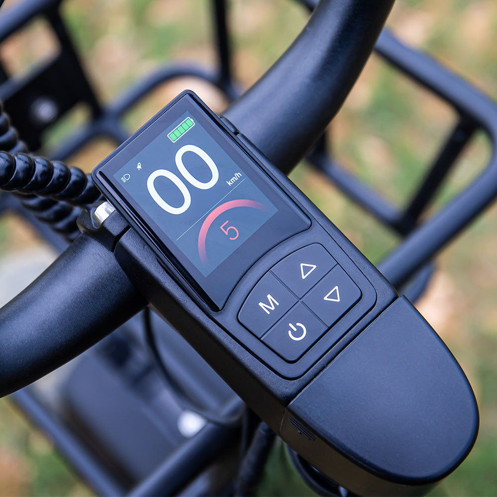Fiido T1 Pro Fatbike Elektrische Bakfiets