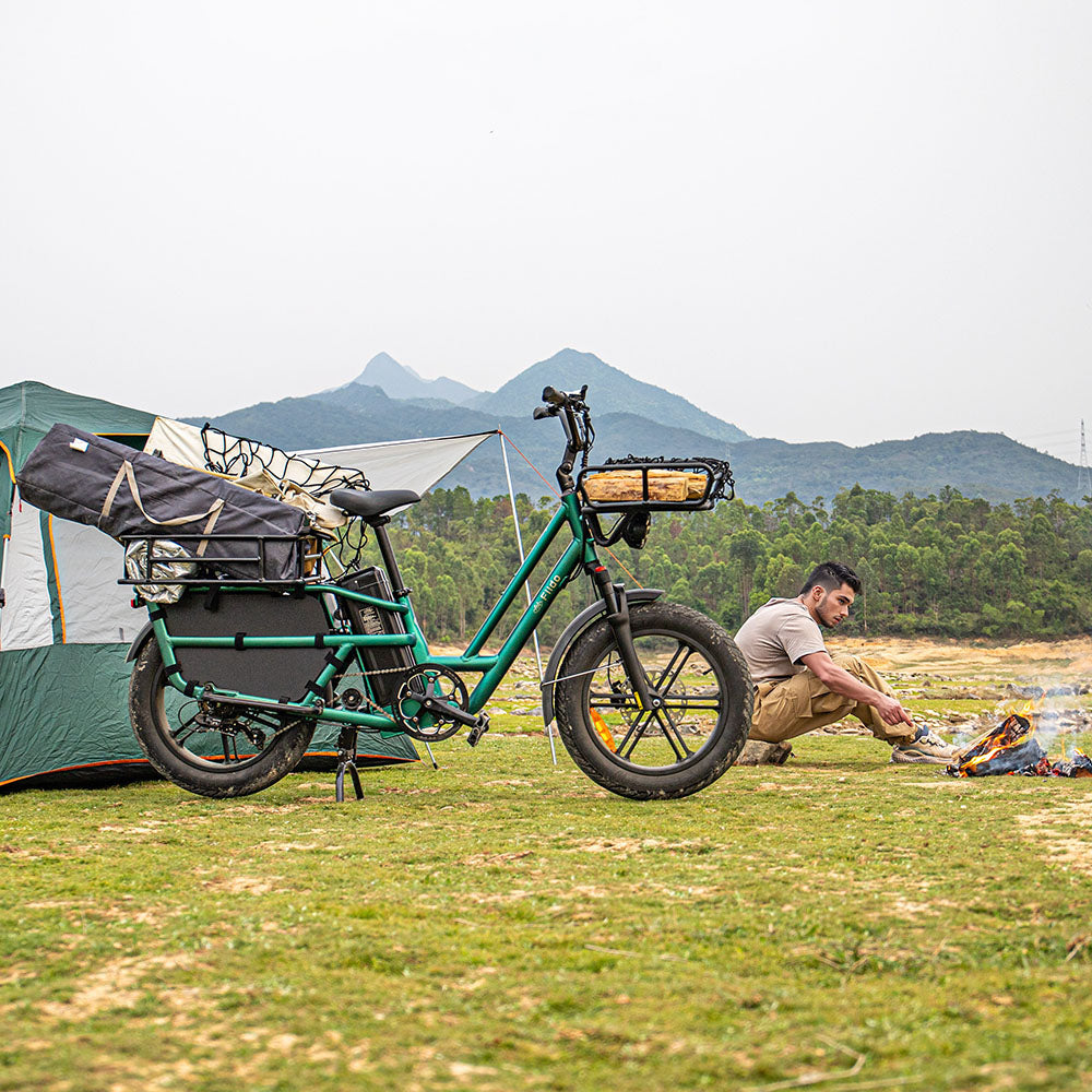 Fiido T2 Longtail Elektrische Bakfiets