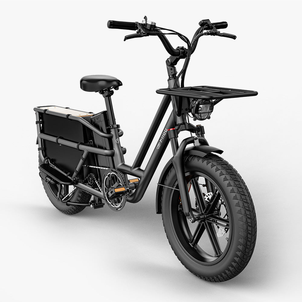 Fiido T2 Longtail Elektrische Bakfiets