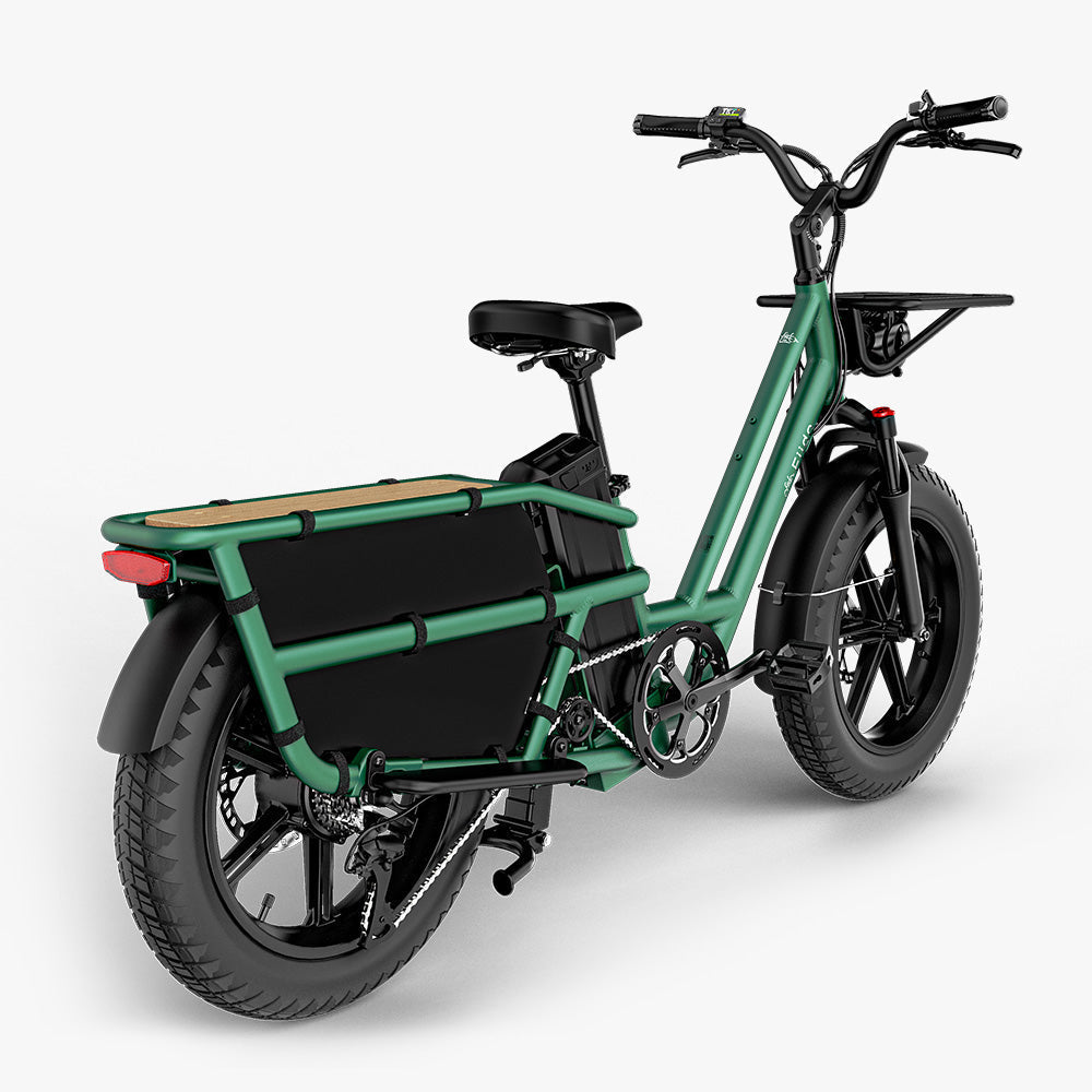 Fiido T2 Longtail Elektrische Bakfiets