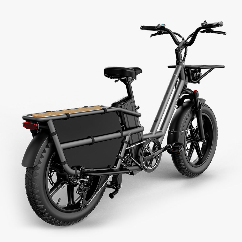 Fiido T2 Longtail Elektrische Bakfiets